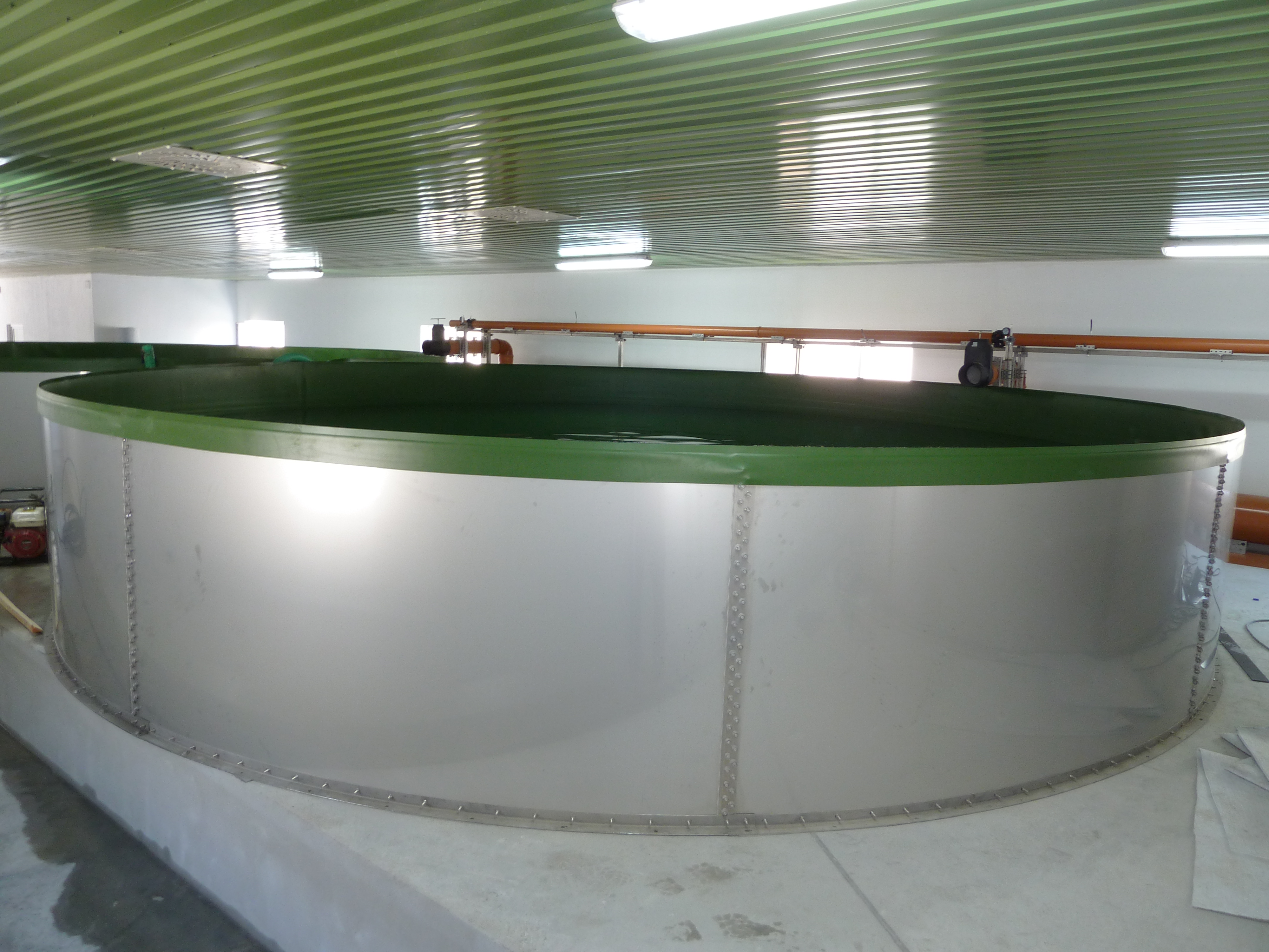 Edelstahl-Rundbecken
ø3,9 Meter, Volumen: 14,9 m³
Höhe: 1,50 m
Ohne Folie,
Ablauf zentral, unten