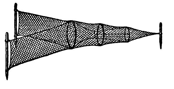 Flügelreuse