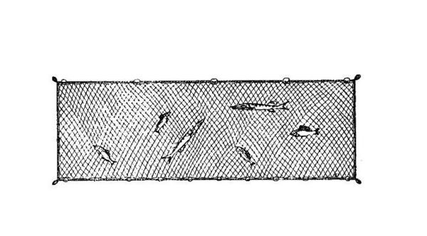 Gill Nets