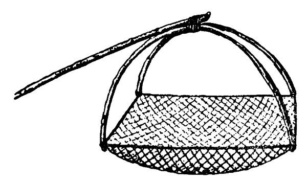 Tauchhamennetz