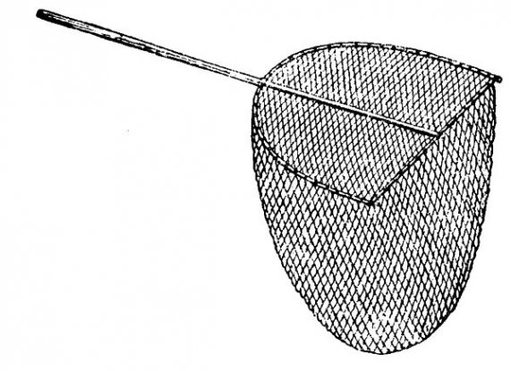 Stoßhamennetz