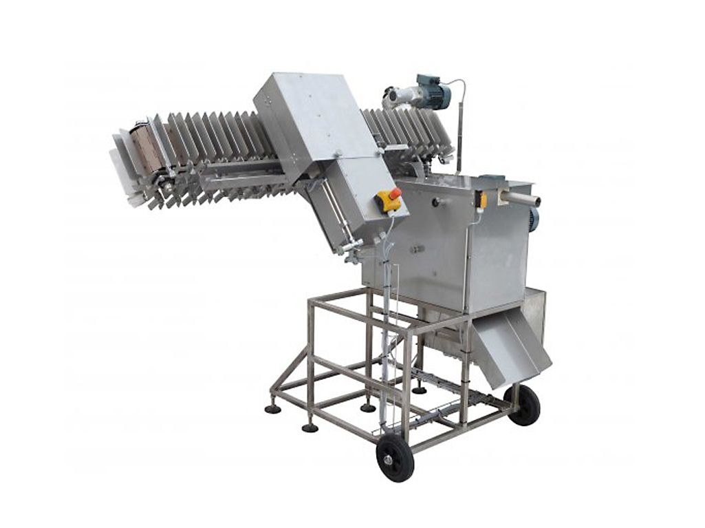 Fish processing